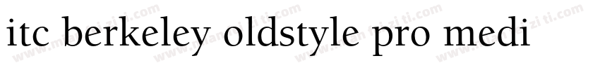 itc berkeley oldstyle pro medium字体转换
